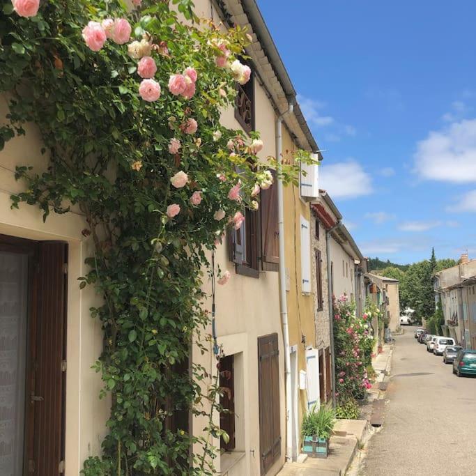 Sainte-Colombe-sur-lʼHers La Maison De Mama C: Charming French Village Home מראה חיצוני תמונה